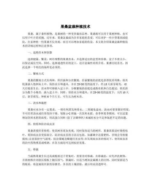 果桑盆栽种植技术