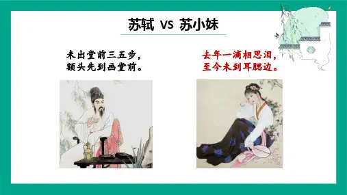 中考语文一轮专题复习(现代文阅读——词语赏析》课件(共48张PPT)