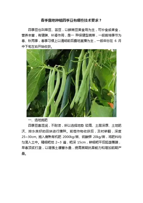 春季露地种植四季豆有哪些技术要求？