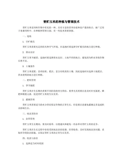 青贮玉米的种植与管理技术