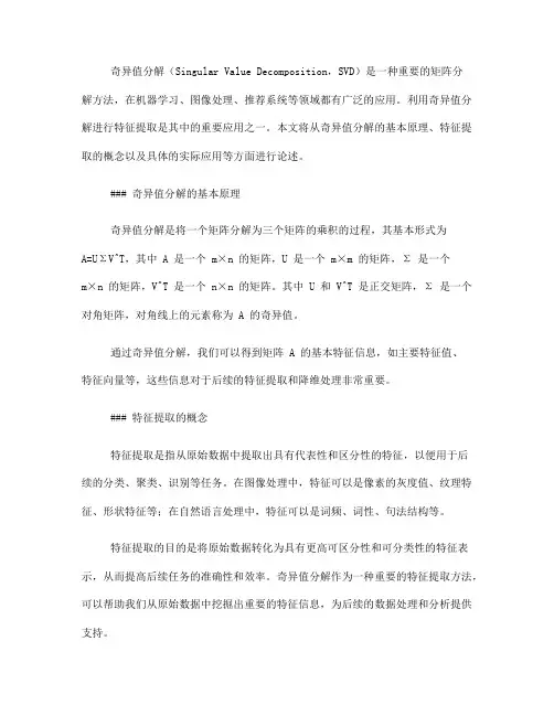 如何利用奇异值分解进行特征提取