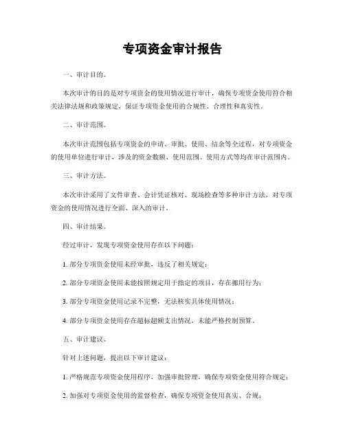 专项资金审计报告