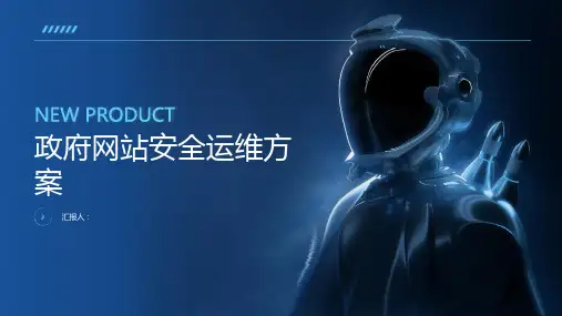 政府网站安全运维方案
