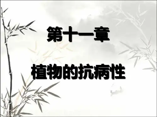 植物的抗病性ppt