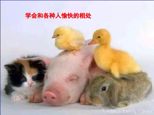 1-2矩阵乘法,转置,逆
