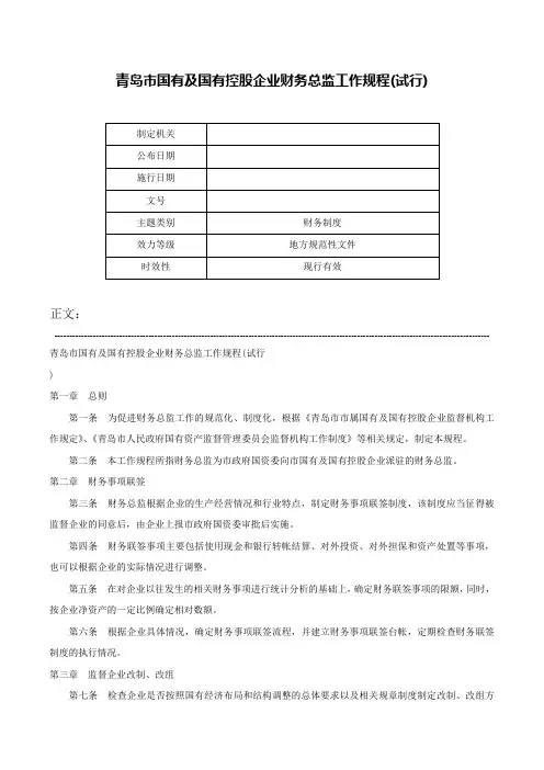 青岛市国有及国有控股企业财务总监工作规程(试行)-