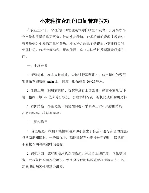 小麦种植合理的田间管理技巧
