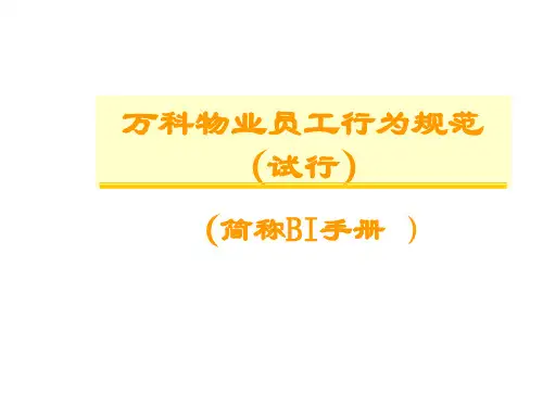 《BI讲师培训教案》