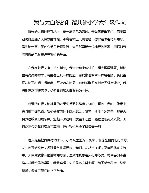我与大自然的和谐共处小学六年级作文