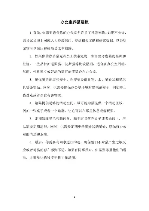 办公室养猫建议