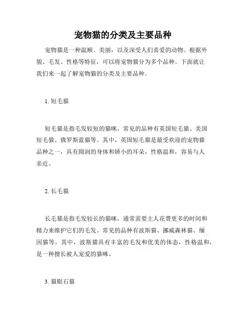 宠物猫的分类及主要品种 