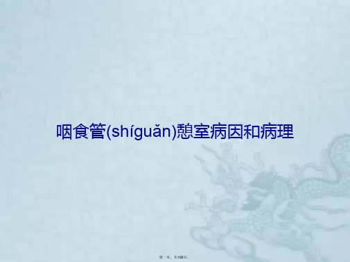 咽食管憩室病因与病理