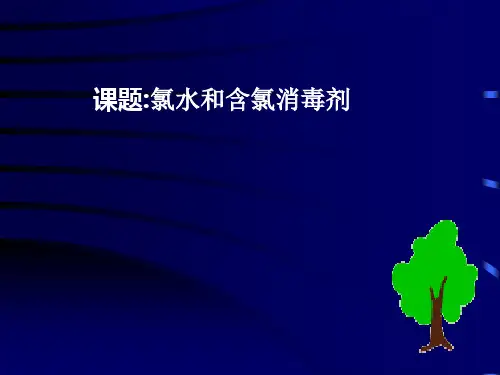 高中化学《氯水和含氯消毒剂》课件ppt