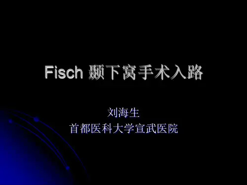 颞下窝手术入路