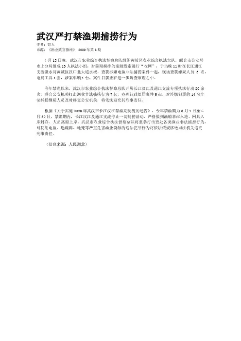 武汉严打禁渔期捕捞行为