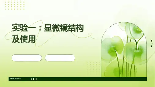 实验一显微镜结构及使用