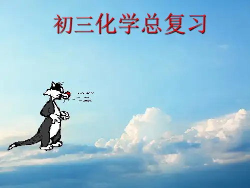 九年级科学化学总复习PPT教学课件