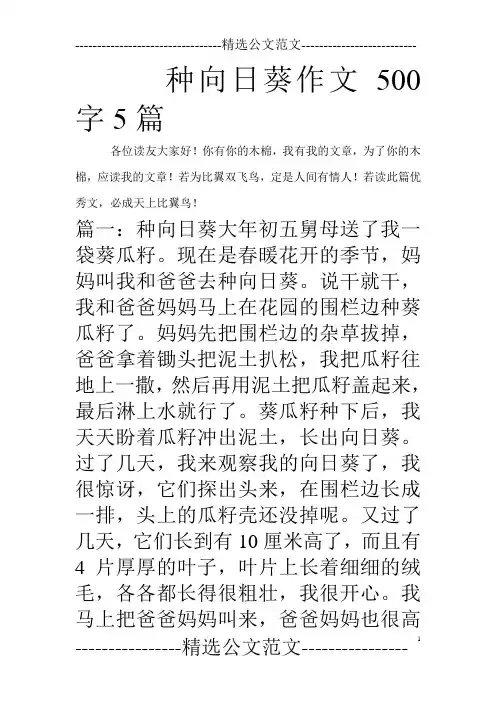 种向日葵作文500字5篇