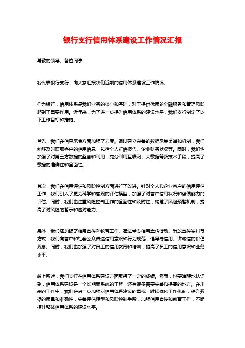 银行支行信用体系建设工作情况汇报