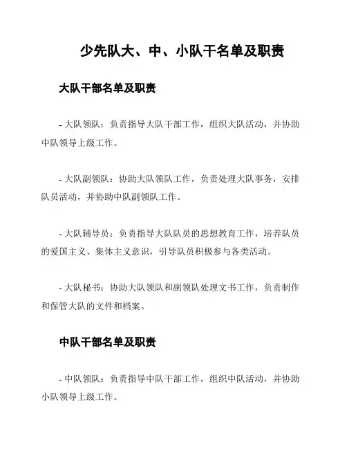 少先队大、中、小队干名单及职责