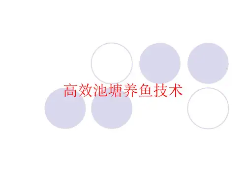 高效池塘养鱼技术PPT课件