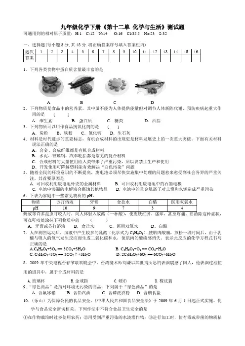 人教版九年级化学下册《第十二单 化学与生活》测试题及答案