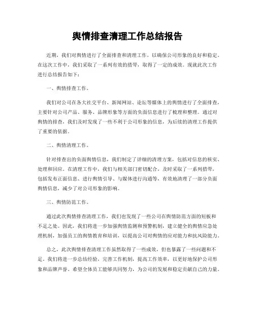 舆情排查清理工作总结报告
