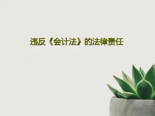 违反《会计法》的法律责任PPT38页