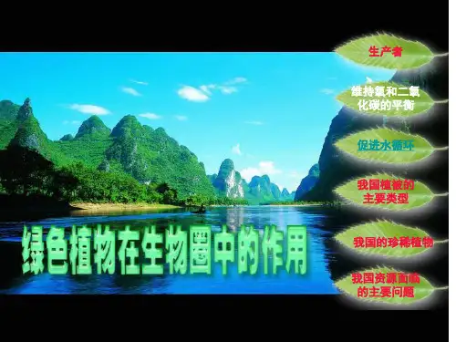 北师大版初中生物七上第三单元7.1《绿色植物在生物圈中的作用》课件(20张)(共20张PPT)