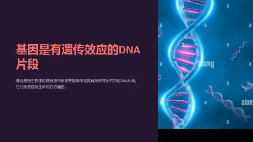 基因是有遗传效应的dna片段