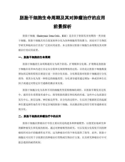 胚胎干细胞生命周期及其对肿瘤治疗的应用前景探析