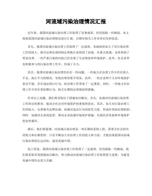 河流域污染治理情况汇报