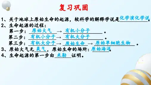 16.2 生物进化的历程-八年级生物上册课件(苏教版)