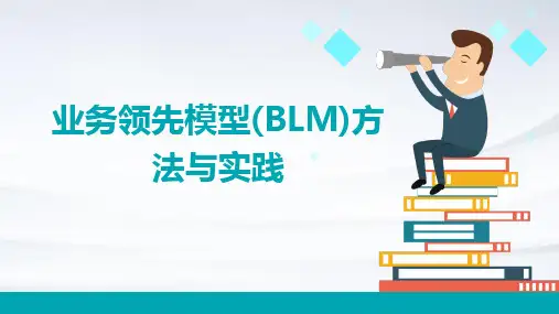 业务领先模型(BLM)方法与实践