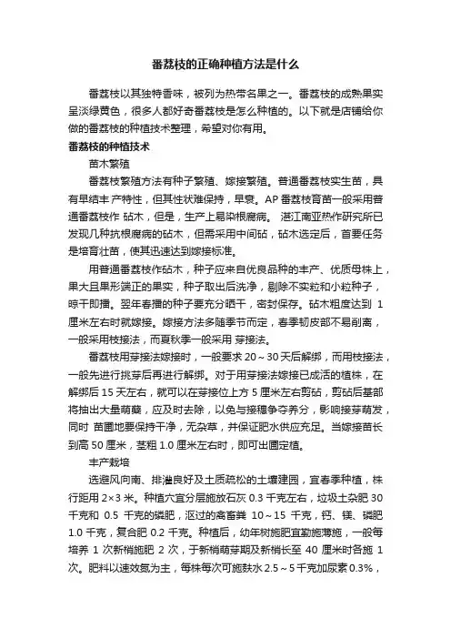 番荔枝的正确种植方法是什么