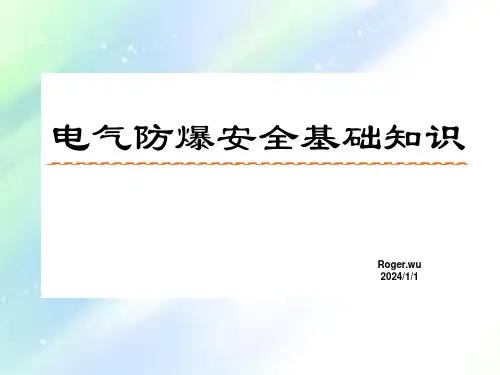PPSC防爆电气安全基础知识培训PPT