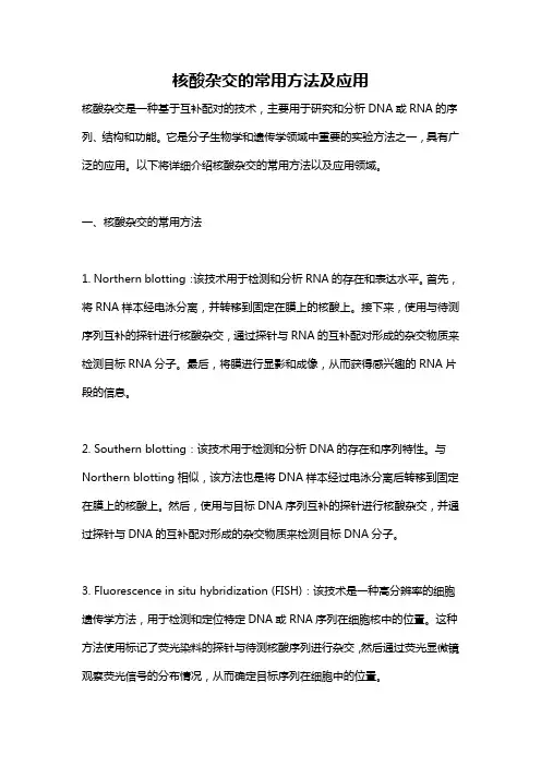 核酸杂交的常用方法及应用
