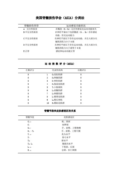 脊髓损伤分类法-美国脊髓损伤学会(ASIA)