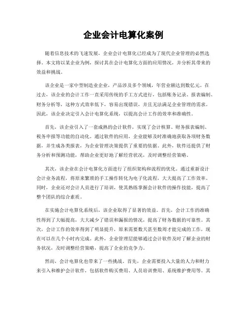 企业会计电算化案例