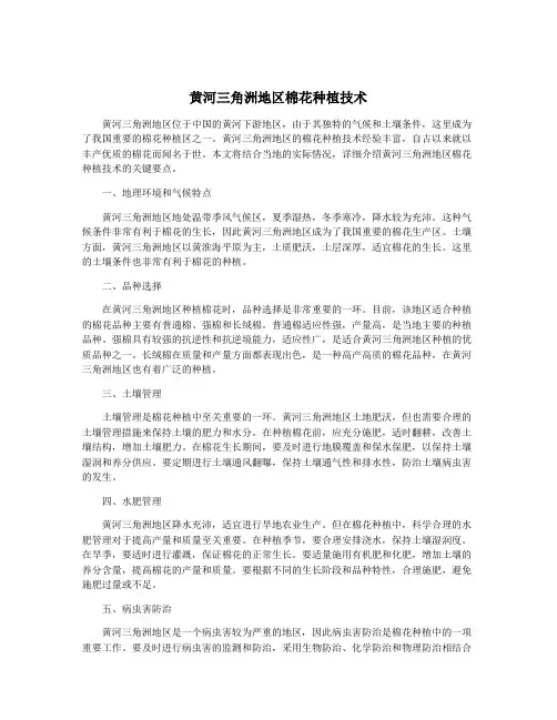 黄河三角洲地区棉花种植技术