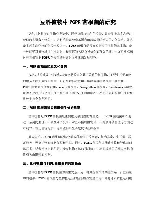 豆科植物中PGPR菌根菌的研究