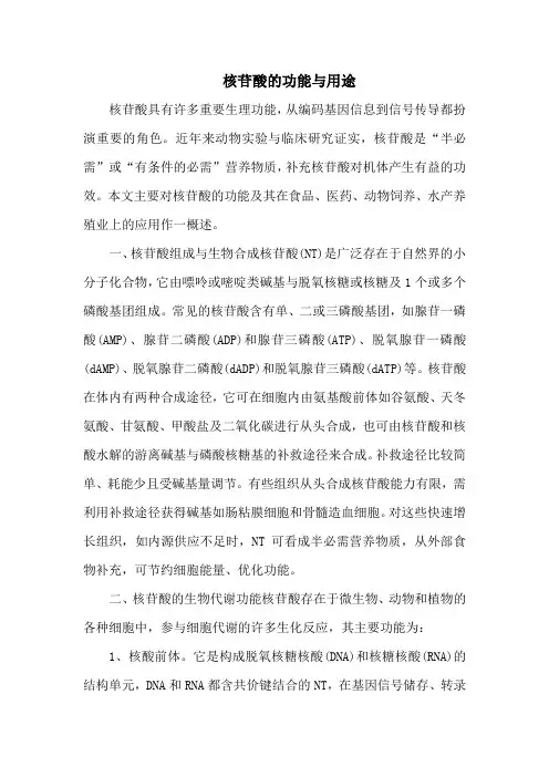 核苷酸的功能与用途