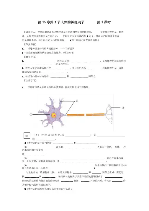 人体的神经调节学案苏科版八年级上