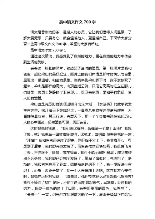 高中语文作文700字