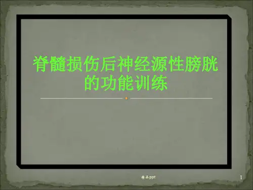 脊髓损伤后神经源性膀胱的功能训练PPT课件