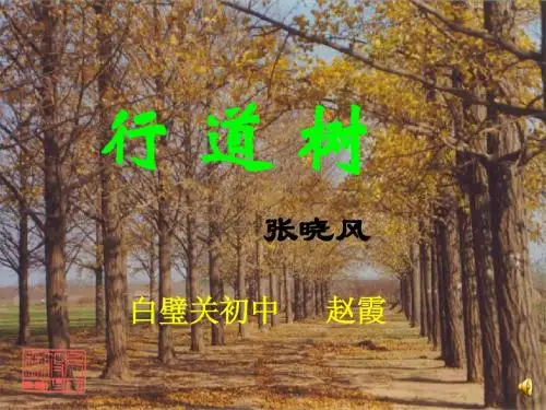 《行道树》ppt课件
