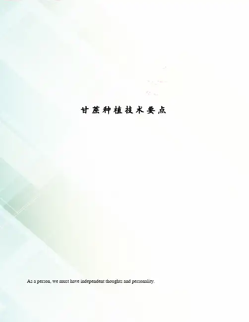 甘蔗种植技术要点
