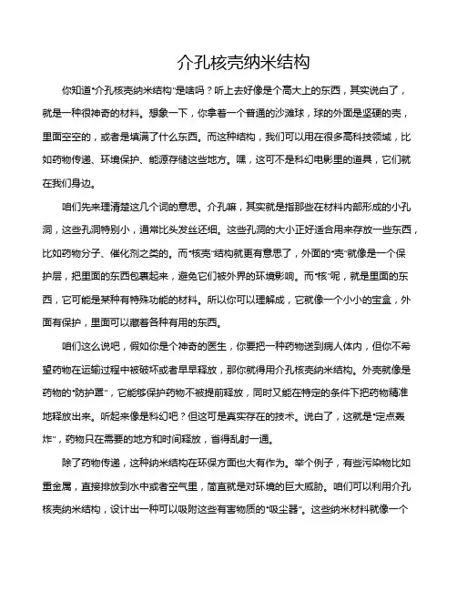 介孔核壳纳米结构