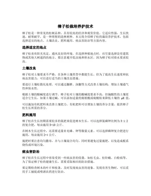 樟子松栽培养护技术