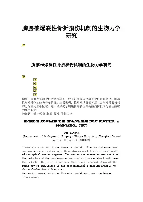 胸腰椎爆裂性骨折损伤机制的生物力学研究.
